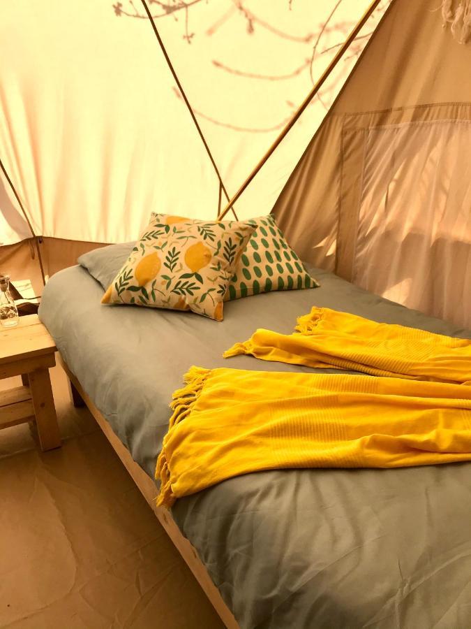 Glamping Solaria Isolabona Exterior photo